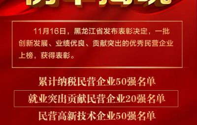 喜报|龙江表彰优秀民营企业 yw永旺快投网收获两项殊荣