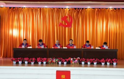 yw永旺快投网党委换届选举党员大会胜利召开